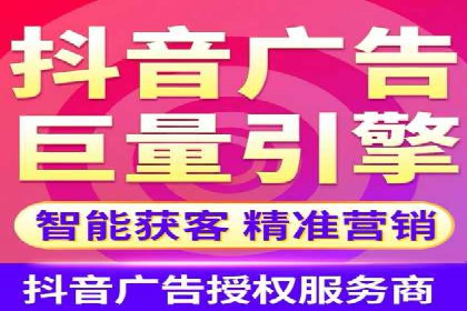 百度广告投放策略与效果评估案例
